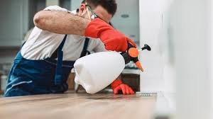 Best Real Estate Pest Inspections  in Islandia, NY